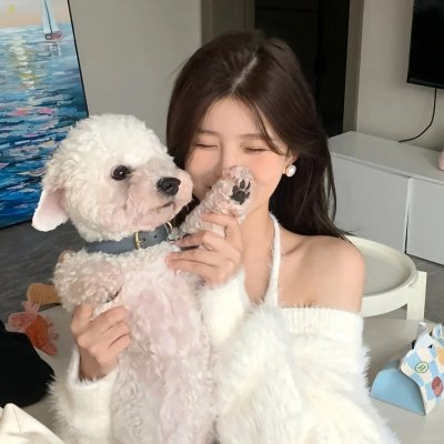 萌犬偷渡记