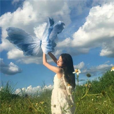 被怀疑:兔子和刺猬