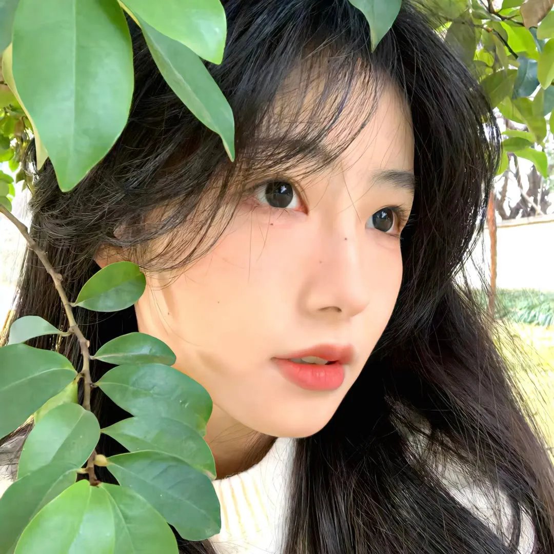 女高音们